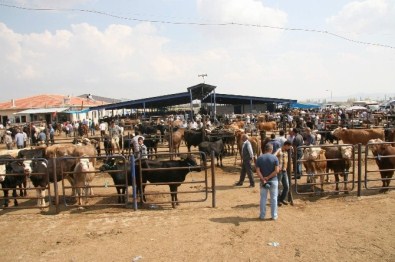Kurban Bayramı Önce Fiyat Spekülatörlerine Dikkat
