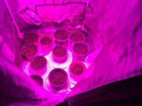 NAYLON POŞET - Uyuşturucu Düzeneği Jandarmayı Bile Hayrete Düşürdü