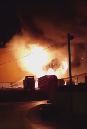 Bandırma'da korkutan yangın