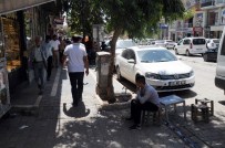 Cizre'de İl Olma Sevinci