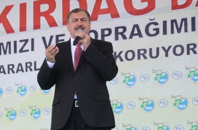 Bakan Eroğlu Açıklaması 'Avrupa'da Birçok Ülke Neredeyse 0'A Yaklaştı'