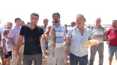 Mersin'de Lagos Balığının Avlanma Yasağına Tepki