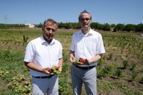 ORGANİK ÜRÜN - Organik Logosu Olmayan Ürünleri Satın Almayın