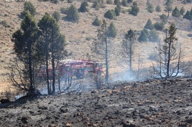 Karaman'da 15 Hektarlık Orman Kül Oldu