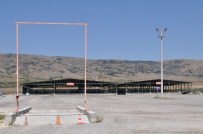 Kurbanlıklar 25 Ağustos Çarşamba Günü Pazara Çıkıyor