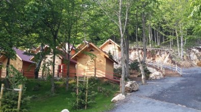 Orman Ve Su İşleri Bakanı Prof. Dr. Veysel Eroğlu