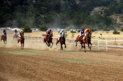 Taşköprü'de At Yarışları Nefes Kesti