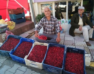 Yüksek Rekolte Kızılcık Fiyatlarını Düşürdü