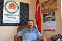 KARNABAHAR - Eskişehir'in Ürettiği Sebzeler Türkiye'nin Birçok İlinde