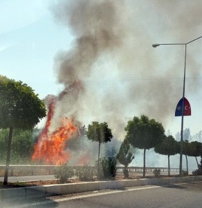 Gölbaşı Balkar'da Bahçe Yangını