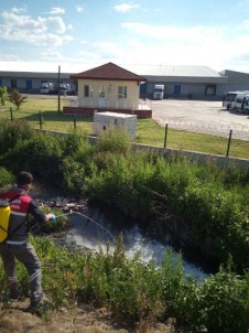 Büyükşehir 2.5 Milyon Metrekarelik Alanı İlaçlayacak