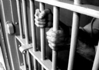 FETÖ’cü diye ihbar ettiği oğlu tutuklandı