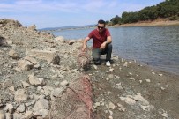 KURBAĞA - Göletteki Ağ Can Alıyor