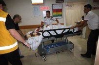 Hafif Ticari Araç Domuz Sürüsüne Çarptı Açıklaması 4 Yaralı