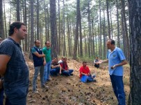 DIKILITAŞ - Kütahya'da Ormanlar Gençleştiriliyor