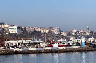 Tekirdağ'da Ruhsat Verilen Yapılar Arttı