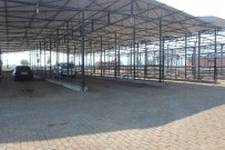 KARARSıZLıK - Aydın'da Kurban Sessizliği