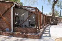 Aynı Anda 650 Kişi Piknik Yapacak Projede Son Aşamaya Gelindi