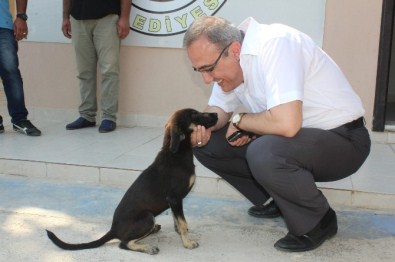 Başkan Karaçoban'dan Sokak Hayvanları Geçici Bakım Merkezine Ziyaret