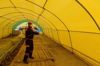 KURBANLIK SATIŞI - Büyükşehir, Kurbanlık Satış Alanlarını İlaçlıyor