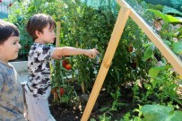 Geleceğin Bahçıvanları Çankaya'da