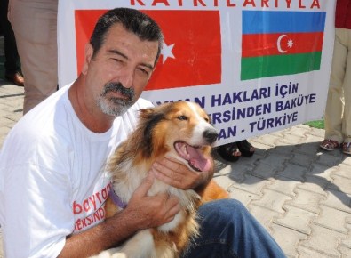 Hayvan Hakları Savunucusu İğdigül, 25 Bin Kilometrelik Yolun Sonunda Evine Ulaşırken Kaza Yaptı