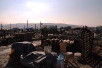 KURBANLIK HAYVAN - Kurbanlık Alırken Dikkat