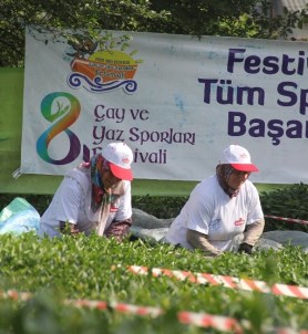 Çay Toplama Yarışmasının Galibi Erkekler