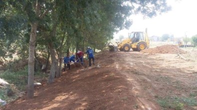 Demokrasi Parkı'nda Peyzaj Çalışmaları Sürüyor