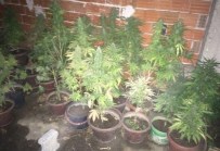 İzmir'de Uyuşturucu Operasyonu