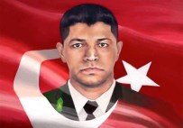 Ömer Halisdemir'in Anlatıldığı '30 Kuş'un Galası Yapıldı