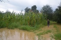 KURTKÖY - Sapanca'da Yağan Yağmur Taşkınlara Sebep Oldu