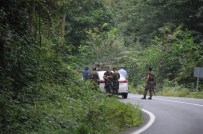 FARABI - Trabzon Maçka'daki Çatışma Devam Ediyor