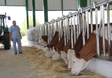 ADSYB Tarım Bakanlığı'na 'Desetkeleme' Sistemindeki Endişelerini Dile Getirdi
