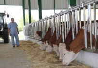 ADSYB Tarım Bakanlığı'na 'Desetkeleme' Sistemindeki Endişelerini Dile Getirdi