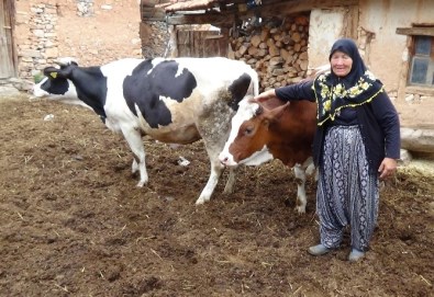 Bu Defa Sevinçten Ağladılar