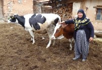 Bu Defa Sevinçten Ağladılar