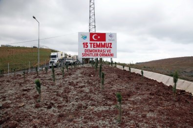 Darbe Şehitleri İçin 3. Köprü Girişinde Hatıra Ormanı