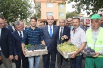 RECEP ALTEPE - İlk Siyah İncir İhracatı Almanya'ya