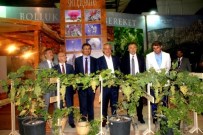 İzmir Fuarı'nda Sultaniye Üzümüne Büyük İlgi