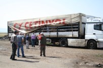 KURBANLIK HAYVAN - Kars'tan 80 İle Kurban Sevkiyatı