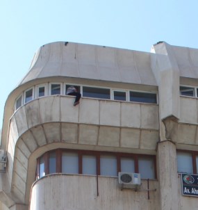 Konya'da İntihar Girişimi