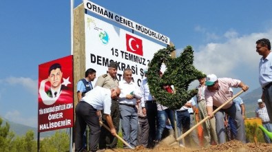 Mersin'de Şehit Halisdemir Adına Hatıra Ormanı