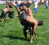 EROL TANRıKULU - Altın Kiraz'ın Başpehlivanı Ali Gürbüz