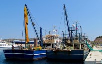 KALAMAR - Balıkçılar, Liman Sorunları Çözülsün İstiyor