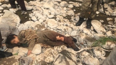 Hakkari'de PKK'ya Darbe Üstüne Darbe