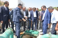 35 Bin Kişiyi Hastanelik Eden Salgının Nedeni Açıklaması Kirlilik Ve Dikkatsizlik