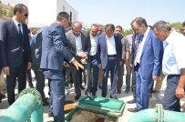 35 Bin Kişiyi Hastanelik Eden Salgının Nedeni Belli Oldu