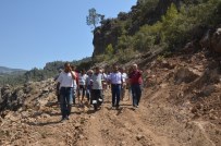 MAHMUT YıLMAZ - Mahalleler Orman Yoluyla Birleşiyor