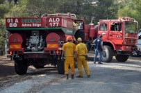 KAYALı - Osmaniye'de 10 Hektarlık Kızılçam Ormanı Yandı